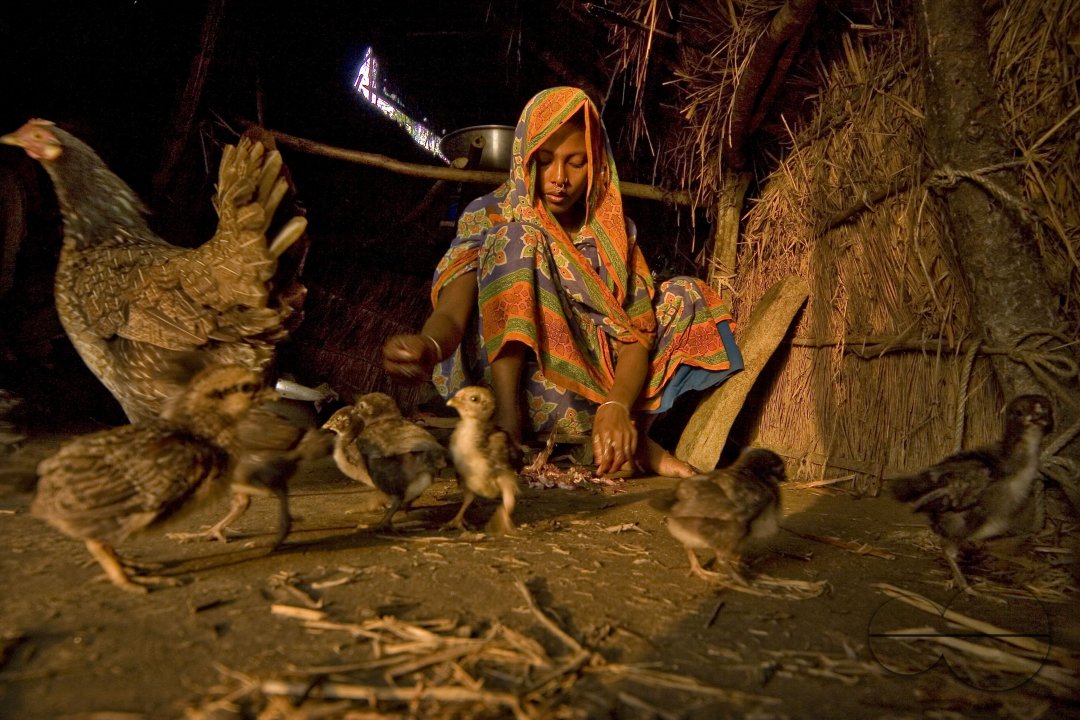 Dhal Char: An Island of Illusion ??
