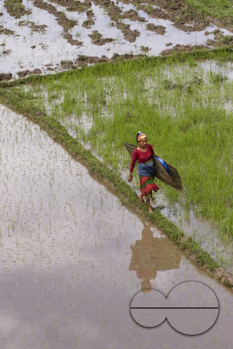 Nepal