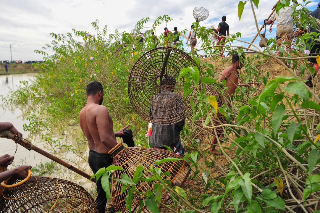 Rural people armed with Bamboo fish traps and nets take part in celebrating a 200-year winter fishing festival at the jofra beel of gasbari union of Kanaighat upazila of Sylhet, Bangladesh.