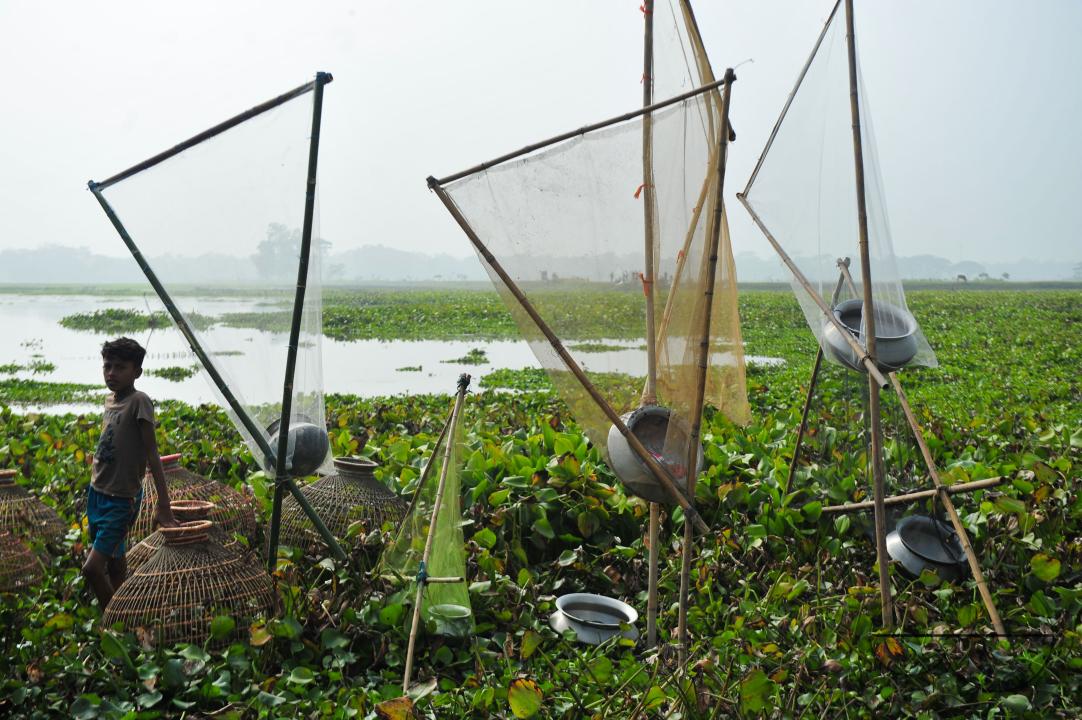 Rural people armed with Bamboo fish traps and handmade fishing nets take part in celebrating in a 100-year winter polo bawa fishing festival at the Gowahori beel of Biswanath upazila in Sylhet