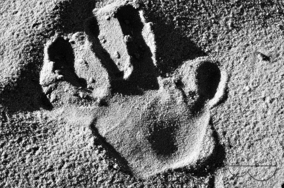MWC013633