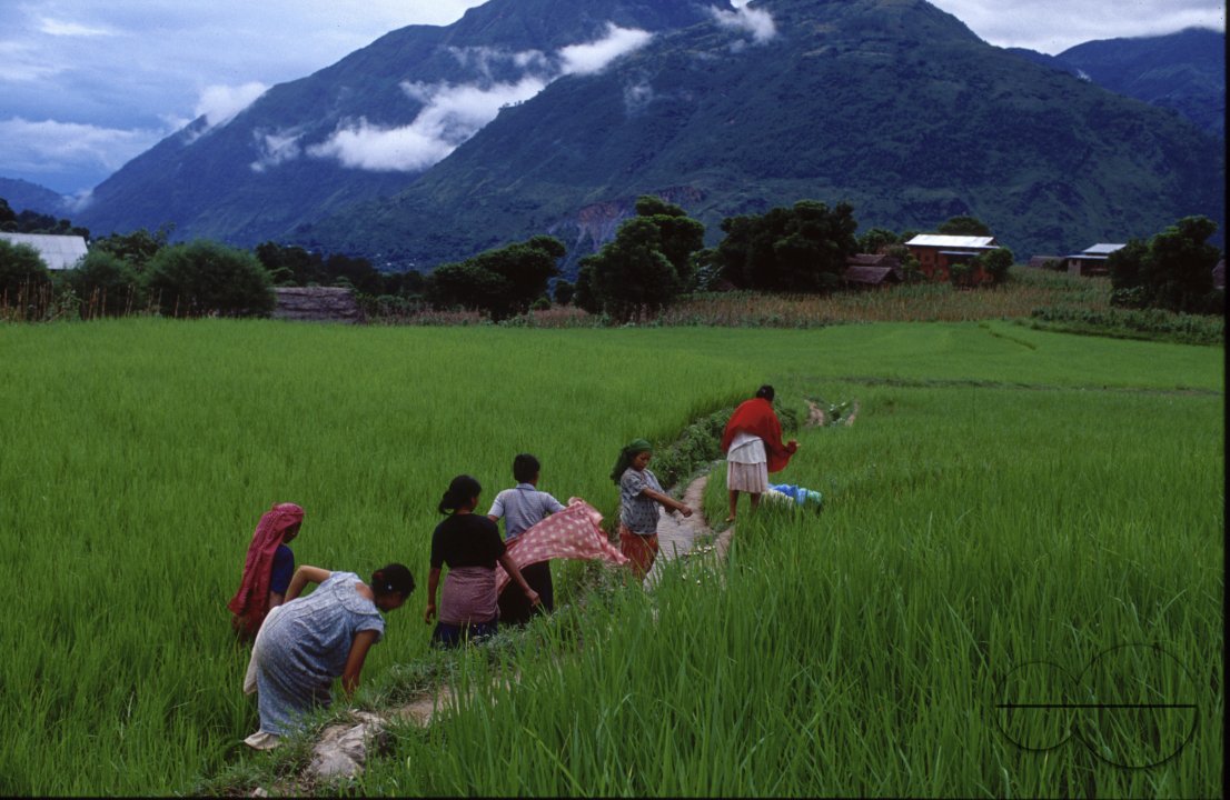 Nepal