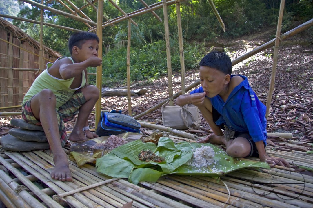 Lifestyle of Indigenous Tribal Peoples