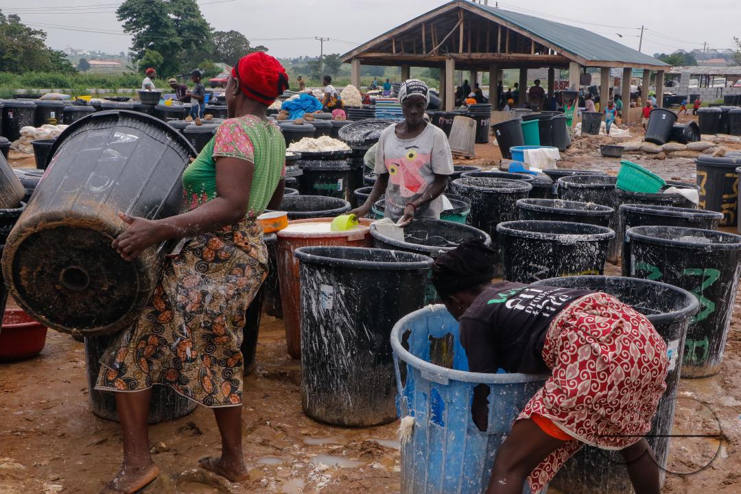 Females in Abuja are struggling and making strides in a local cassava processing factory under difficult conditions to produce flour as they wash out chaff from fermented cassava