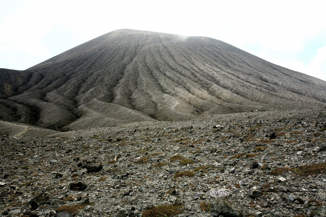 MWC004631