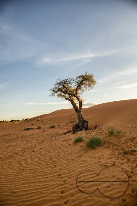MWC039902