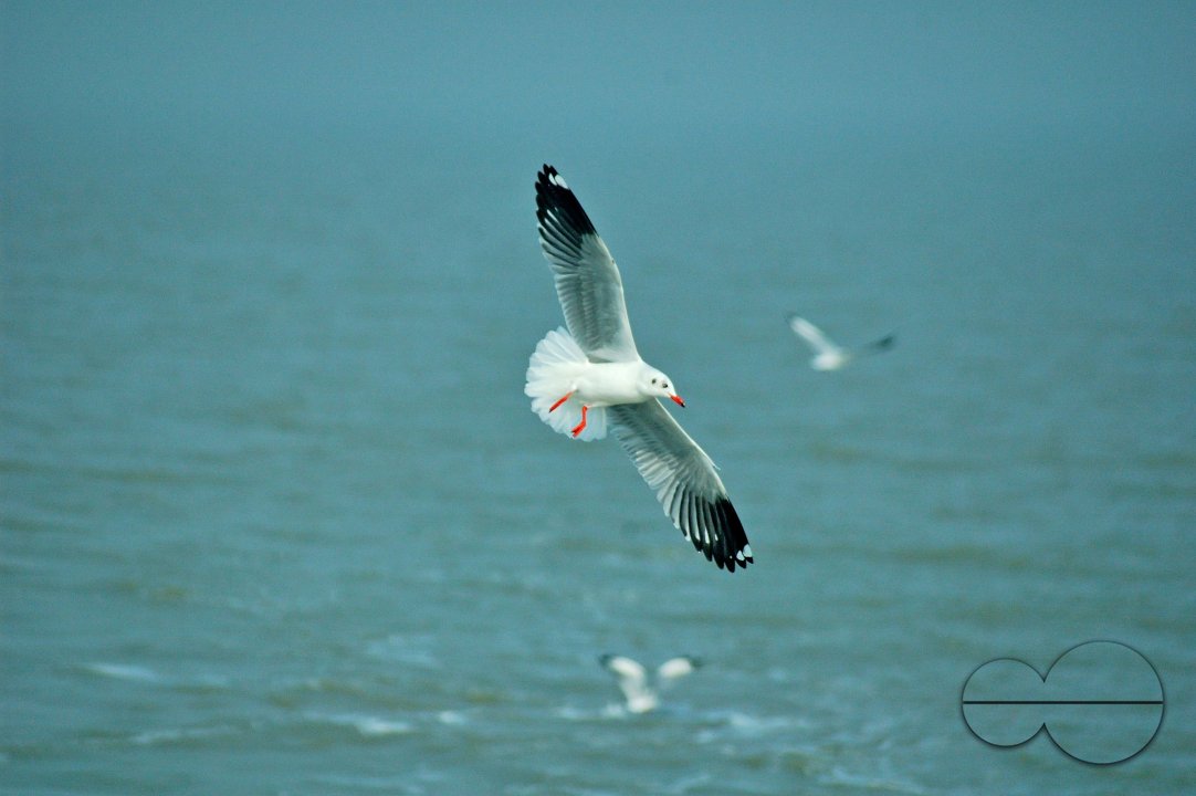 Sundarbans, Khulna, Bangladesh