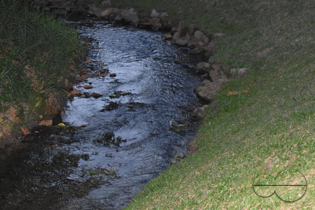 MWC040680
