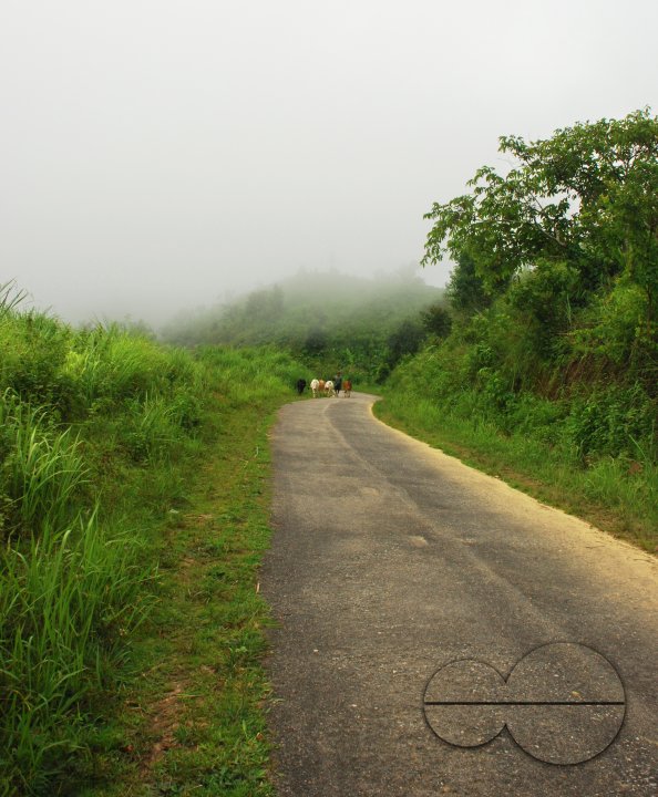 MWC004341