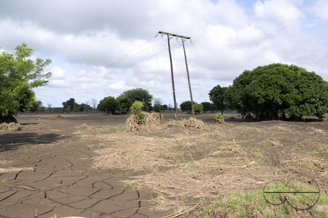 MWC045728