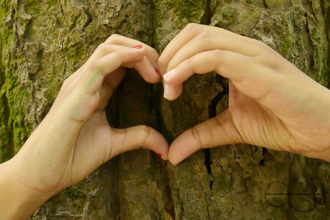 NSS (National Service Scheme) volunteers and school students of Netaji Subhas Vidyaniketan hug trees on the eve of World Nature Conservation Day