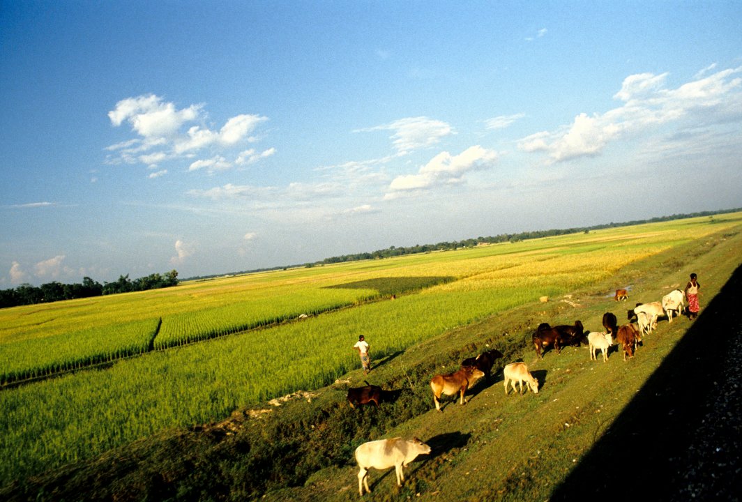 MWC02867