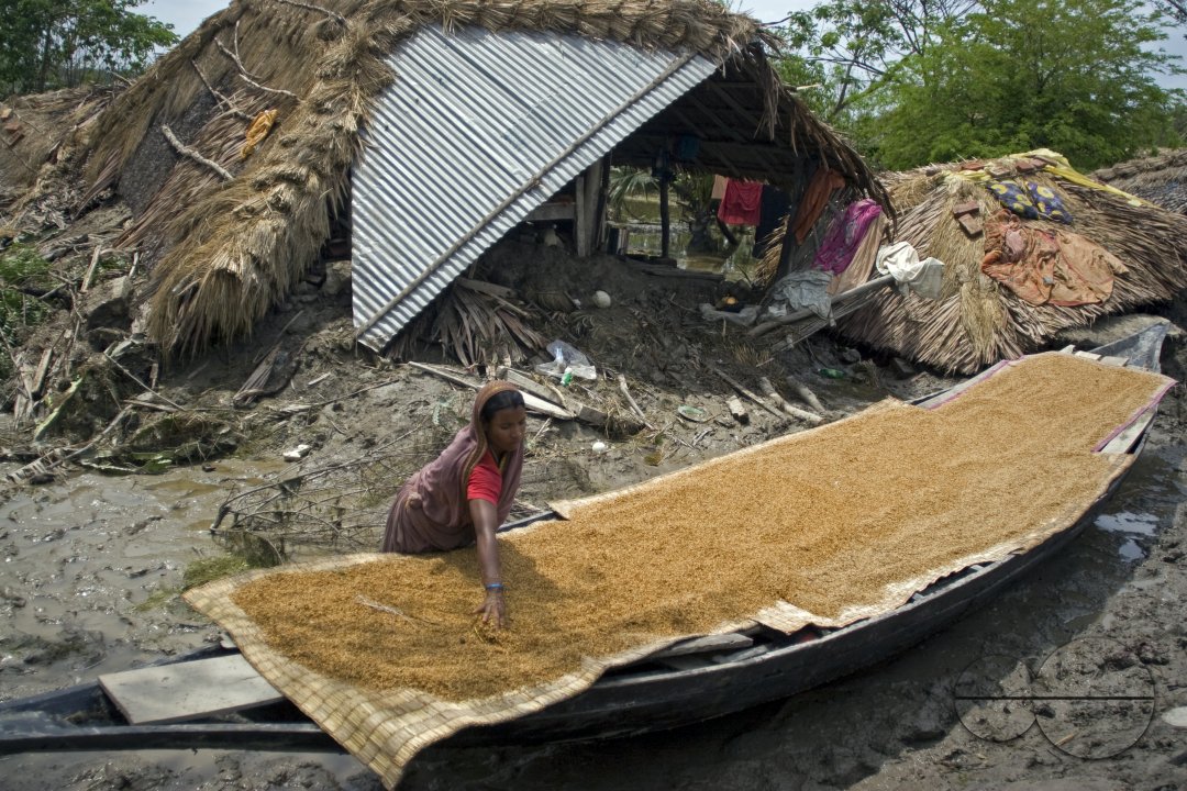 Janaja Prayer for the Departed in BDR Rebellion