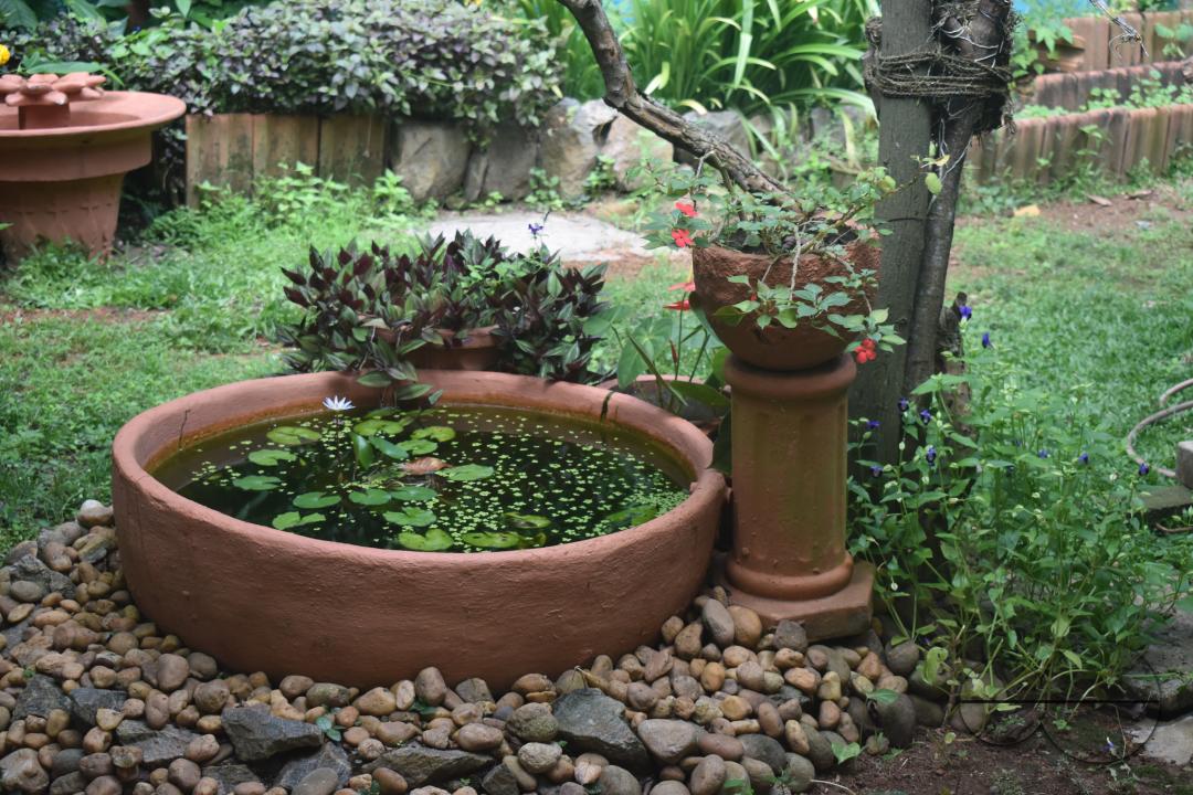 MWC049181