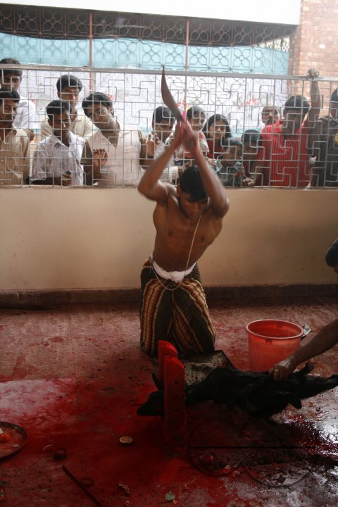 Hindu devotees celebrate Durga Puja