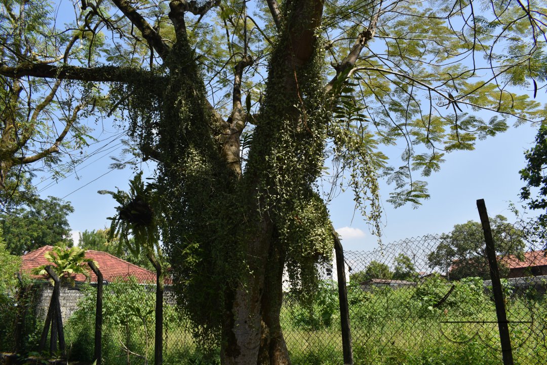 MWC034598