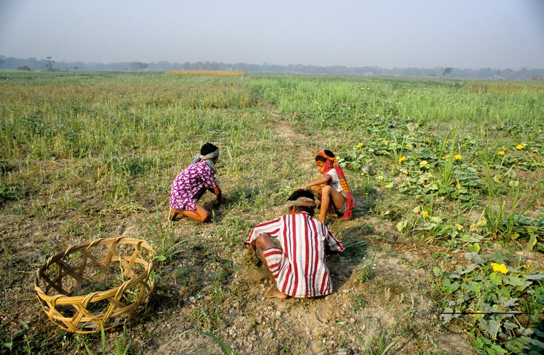 MWC03098