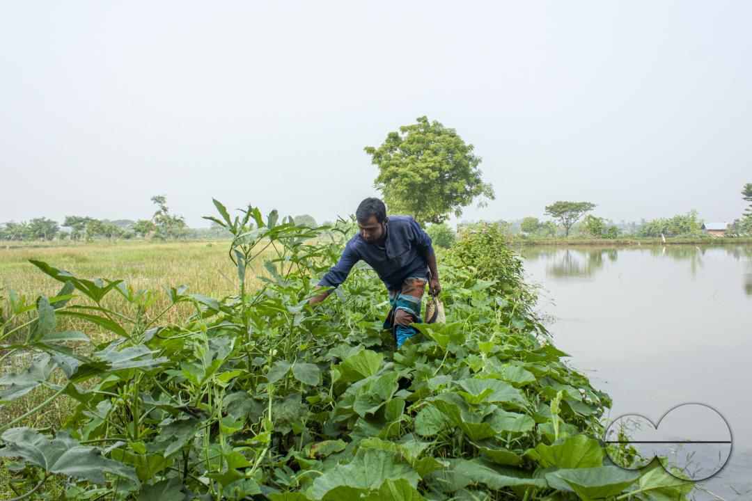 Bangladeshi farmers growing vegetables near a stream