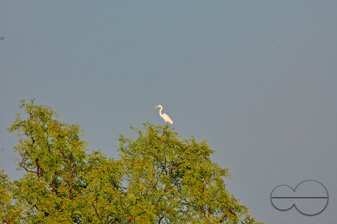 Sundarbans, Khulna, Bangladesh