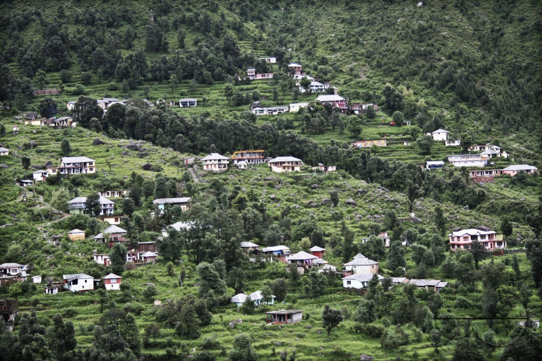 MWC018266