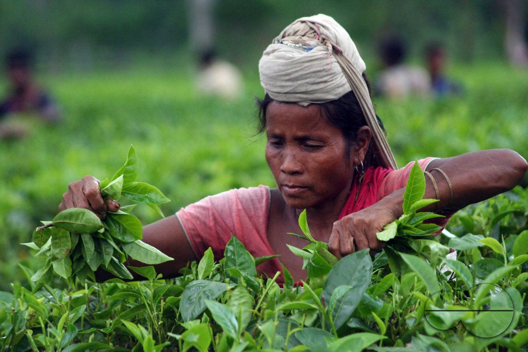 Preparation of emersion and the emersion of goddess Durga in Assam