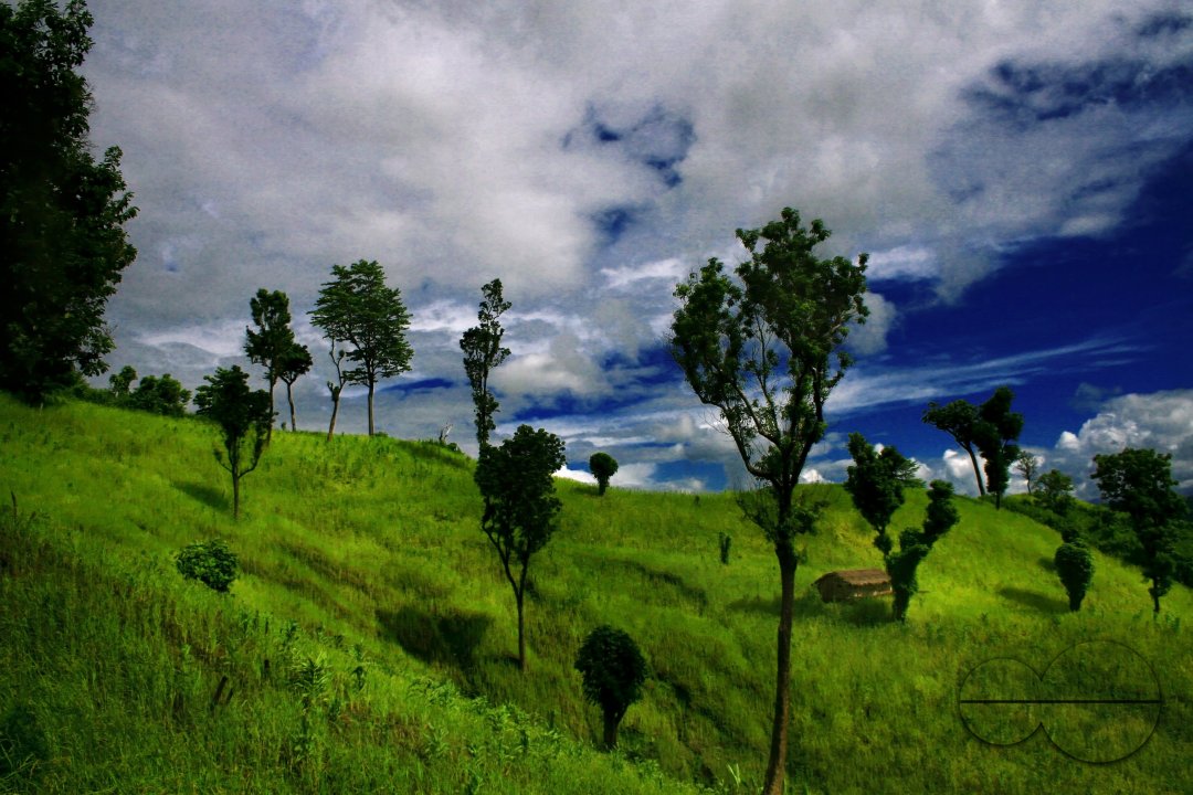 MWC004381