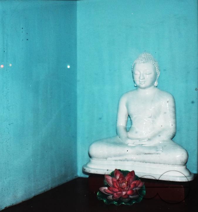 MWC048234