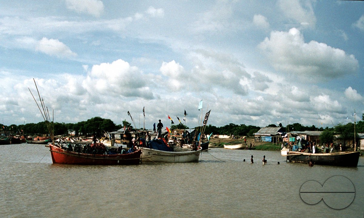 MWC002890