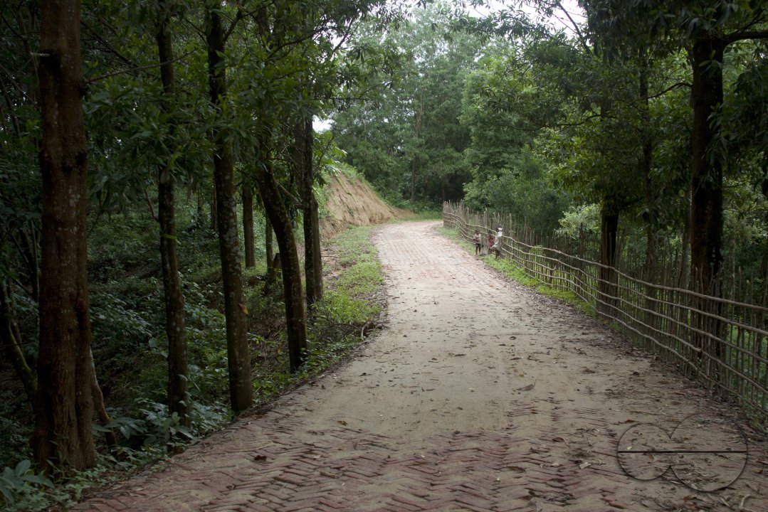 MWC020549
