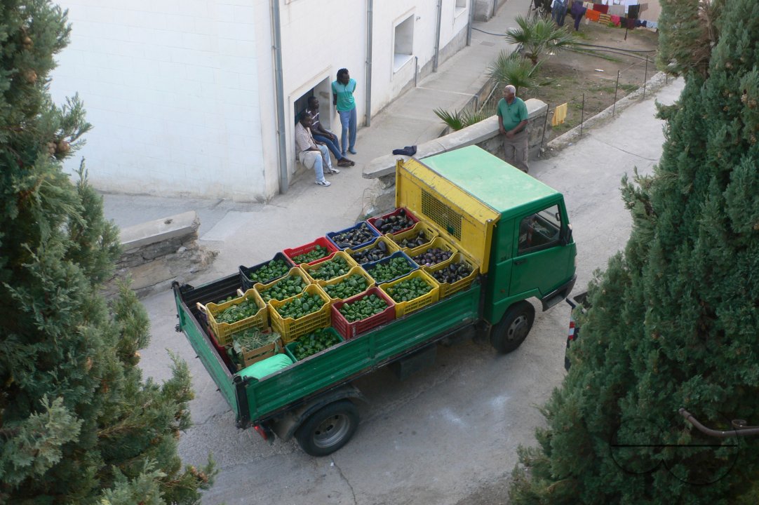 MWC036394