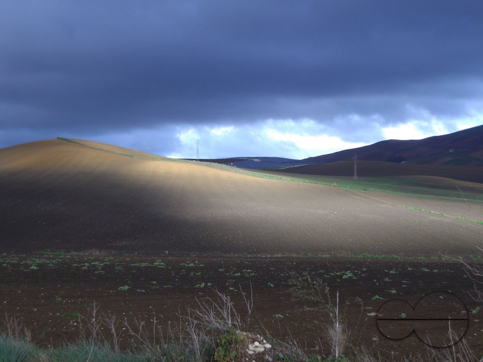 MWC036272