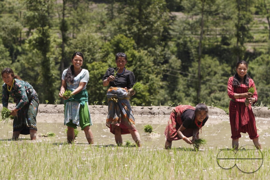 Nepal