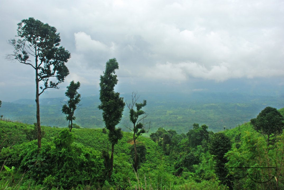 MWC004340