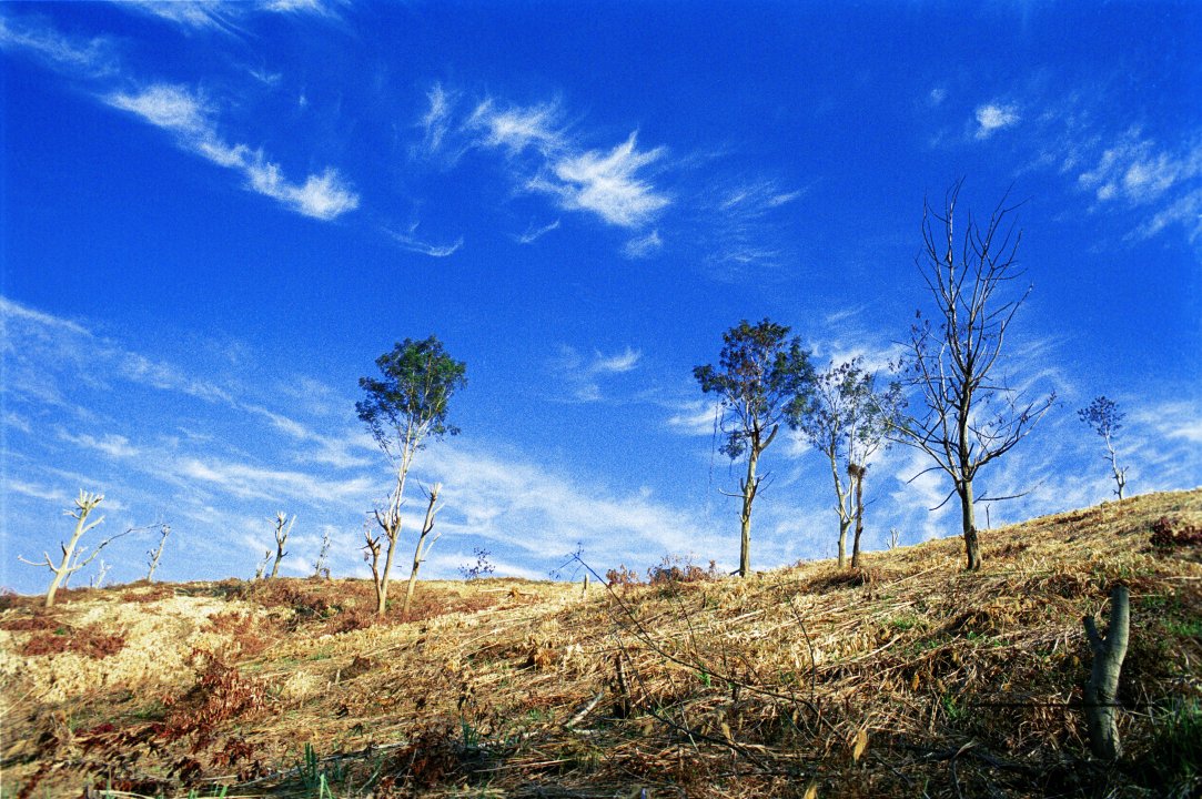 MWC004221