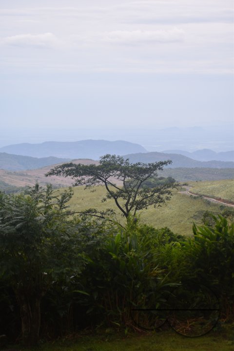 MWC031499