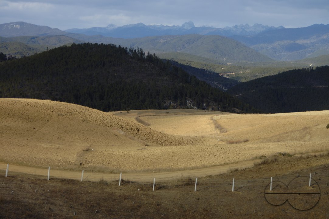 MWC004289
