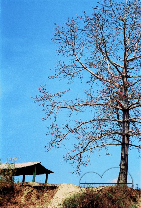 MWC004220