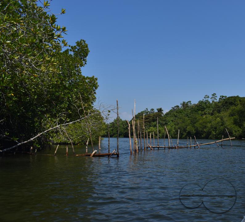 MWC044886