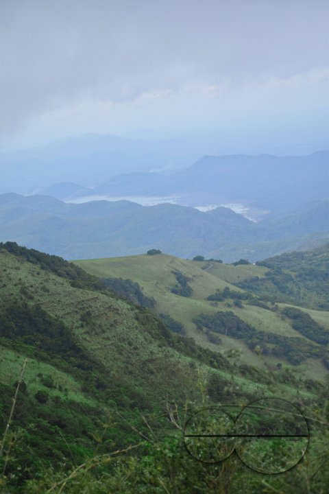 MWC031436