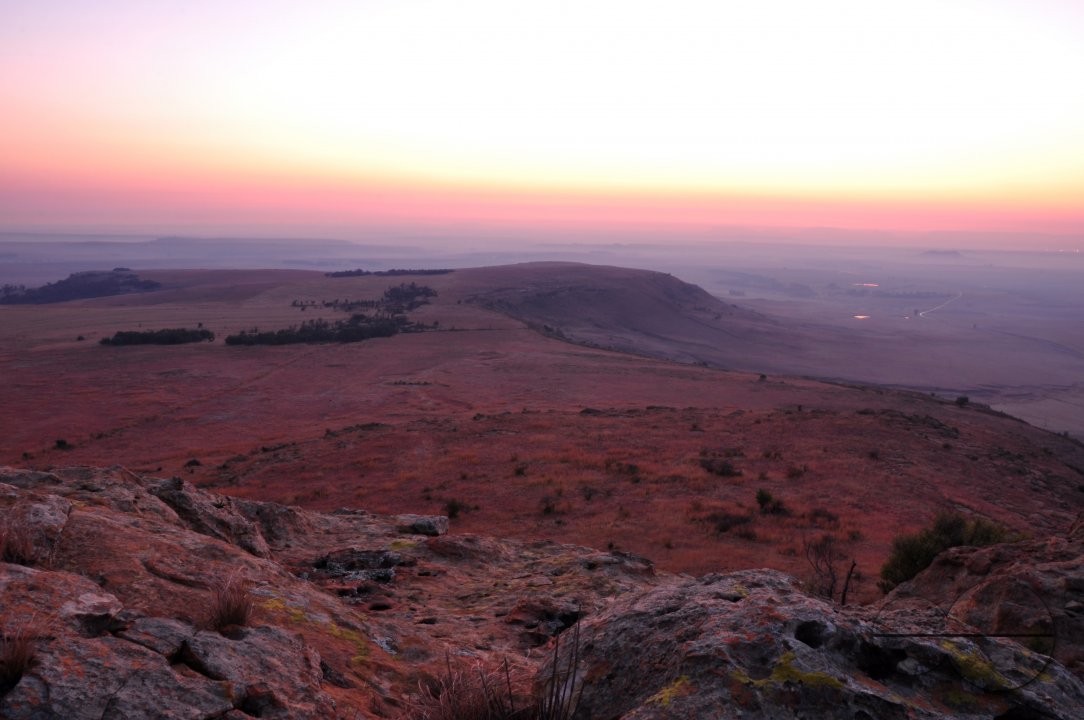 MWC018372