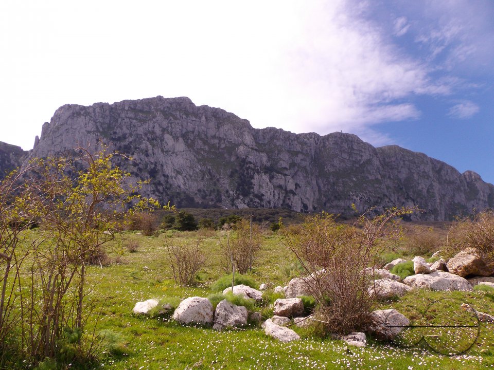 MWC036380