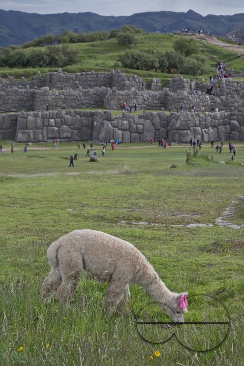 MWC027270