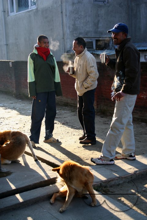 MWC08573