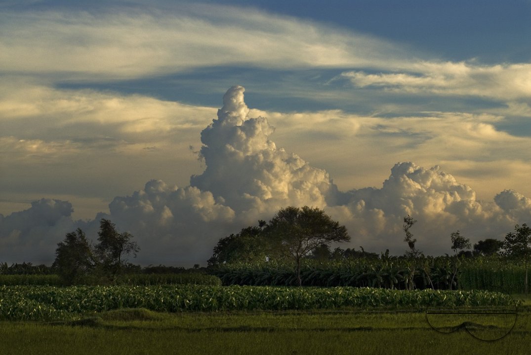 Village: Bangladesh