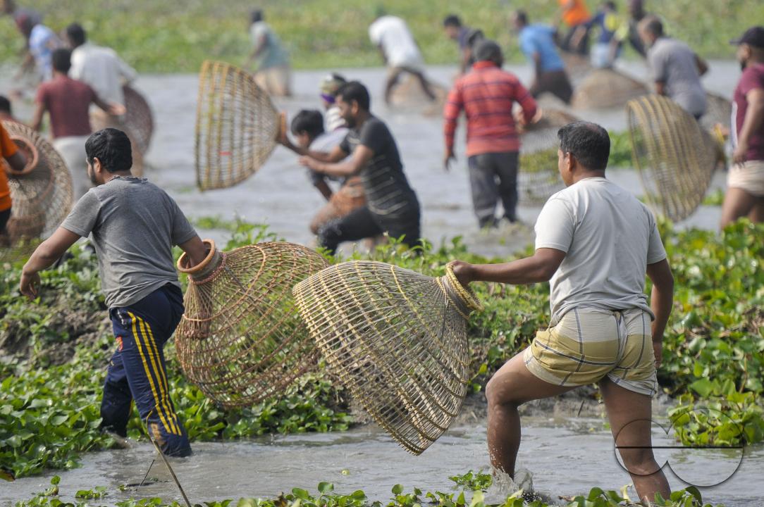 Rural people armed with Bamboo fish traps and handmade fishing nets take part in celebrating in a 100-year winter polo bawa fishing festival at the Gowahori beel of Biswanath upazila in Sylhet