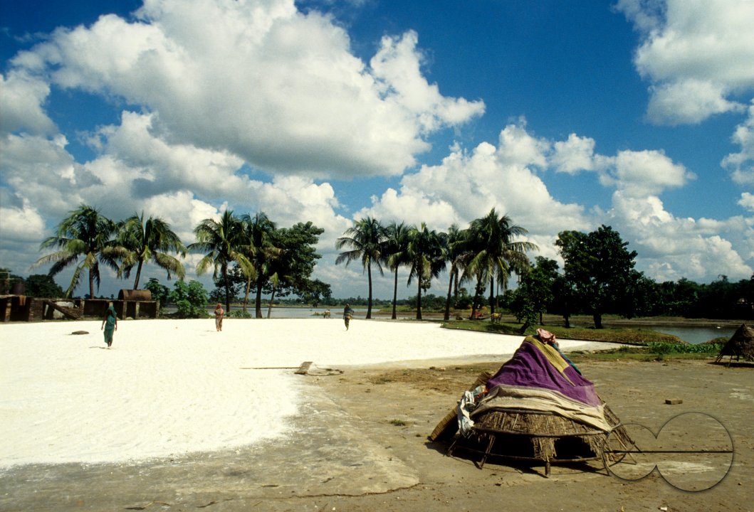 MWC02878