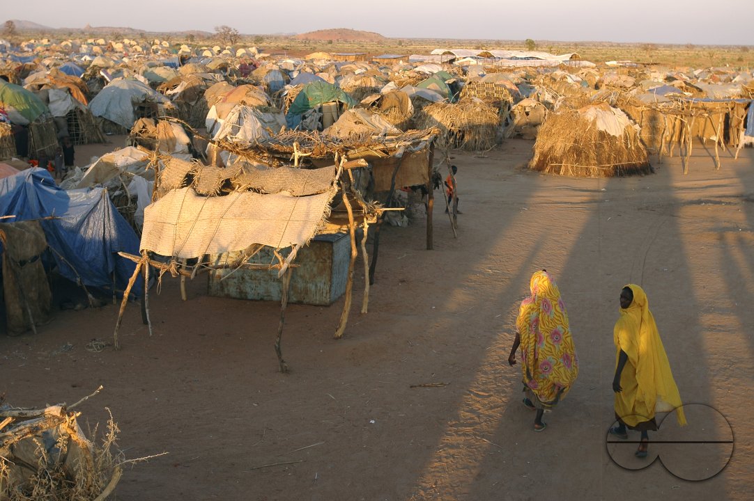 MWC009818