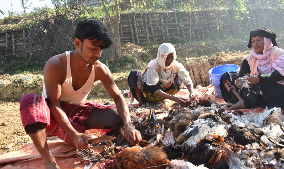 People cleaning fowls for sale at the Balukhali refugee camp