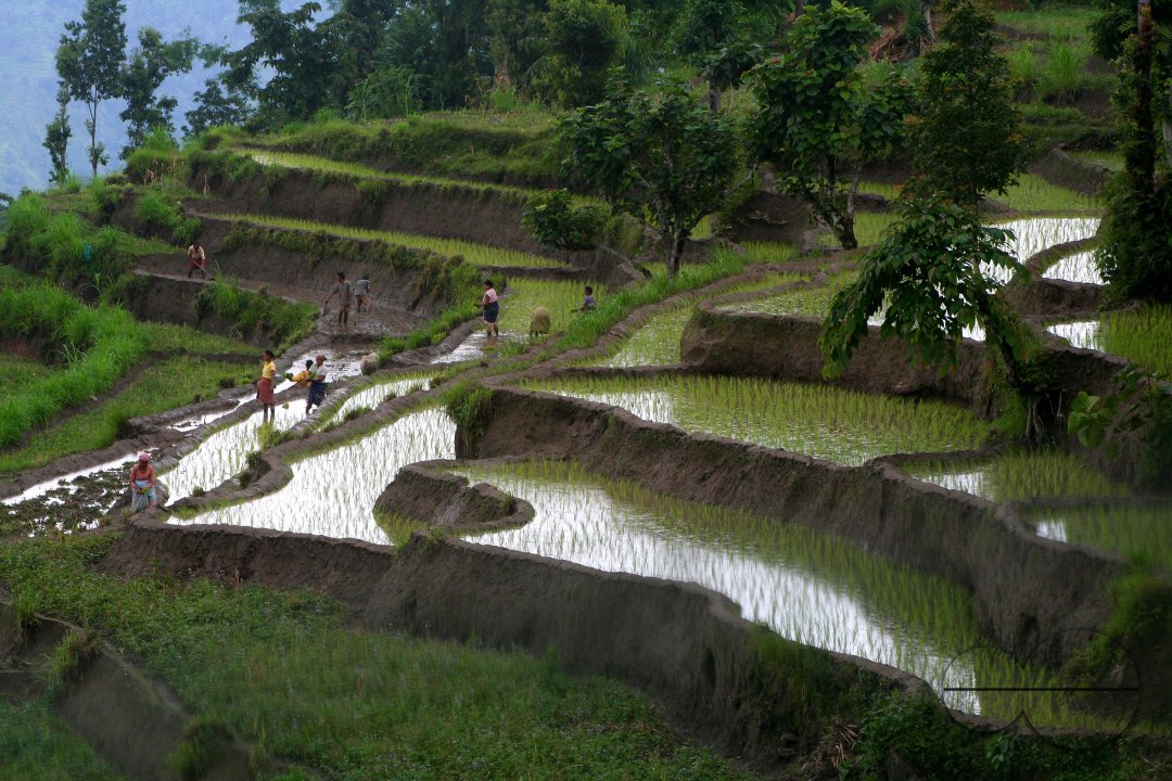 MWC03073