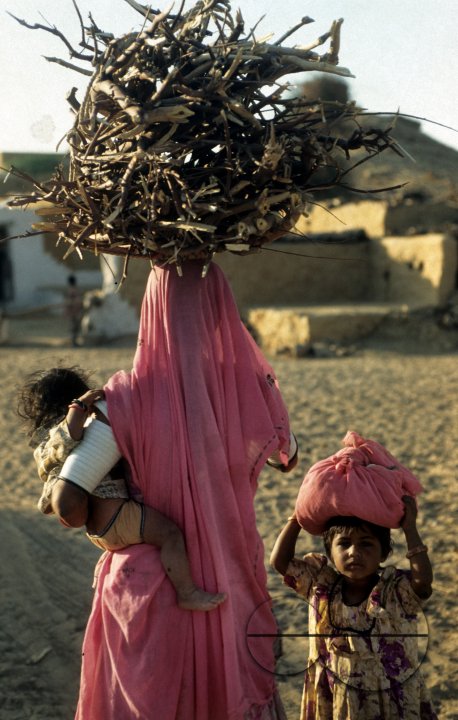 Rajasthan, India